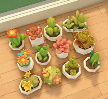 [SHEEP] Succulent set